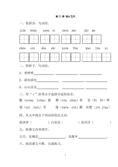 第21课 槐乡五月