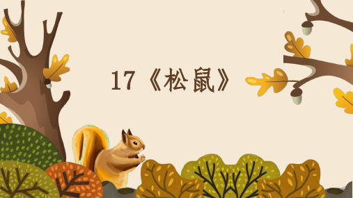 17 松鼠  课件(共36张PPT).ppt