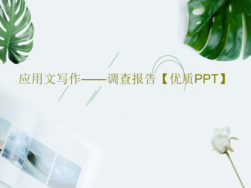 应用文写作——调查报告【优质PPT】PPT文档共29页