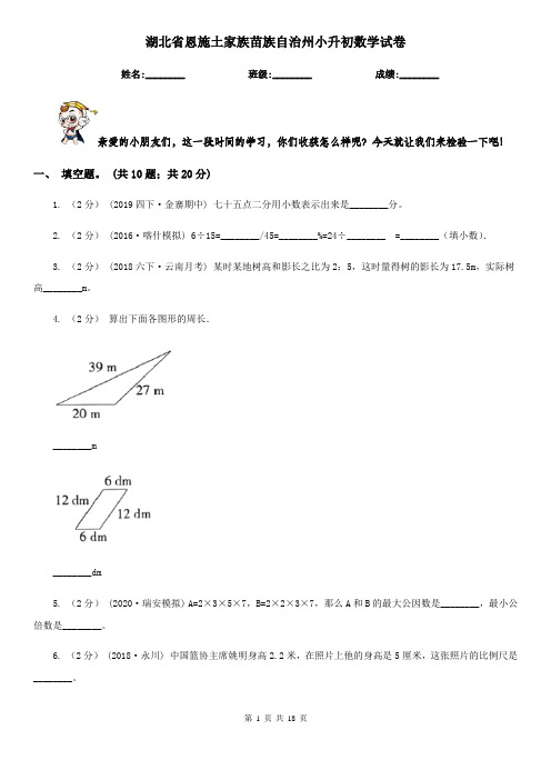 湖北省恩施土家族苗族自治州小升初 数学试卷