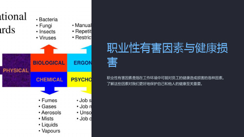 职业性有害因素与健康损害