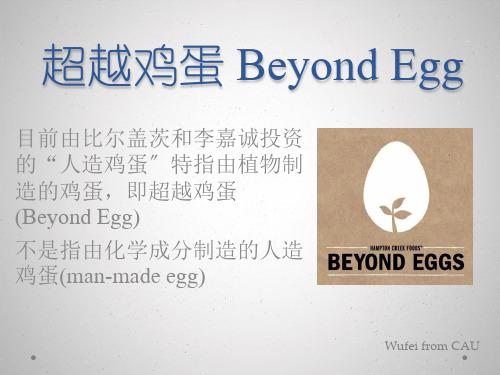 超越鸡蛋人造鸡蛋beyondegg