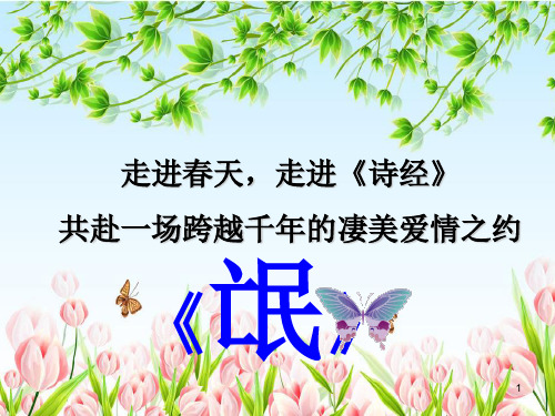 氓  优秀教案PPT教学课件