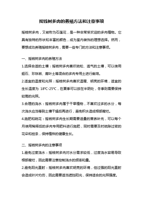 摇钱树多肉的养殖方法和注意事项