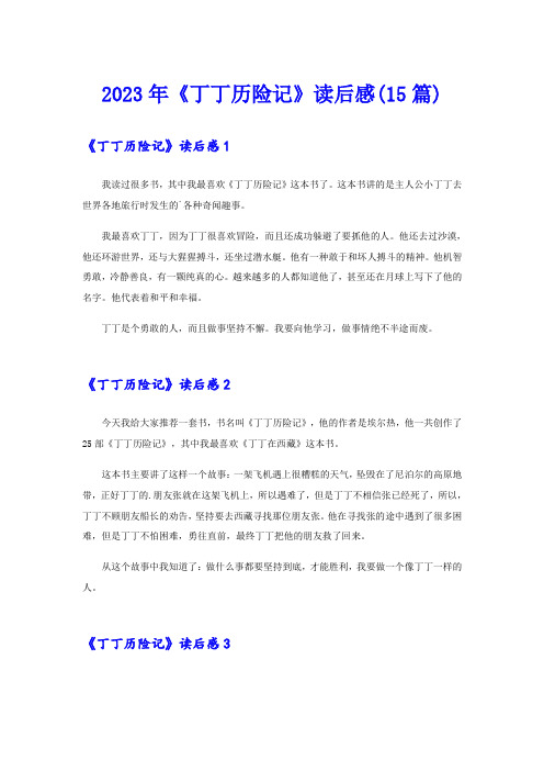 2023年《丁丁历险记》读后感(15篇)