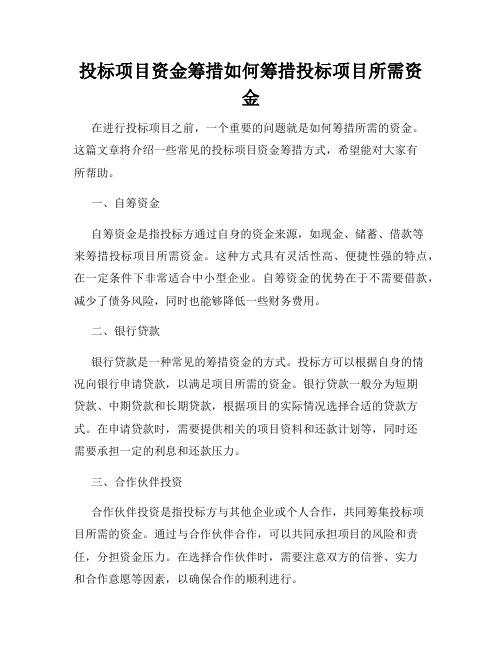 投标项目资金筹措如何筹措投标项目所需资金