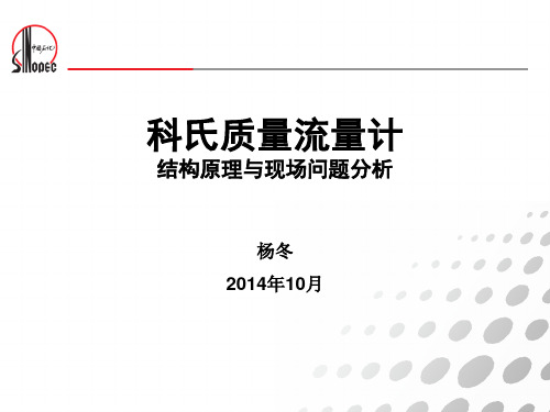 科氏质量流量计原理与现场问题分析报告