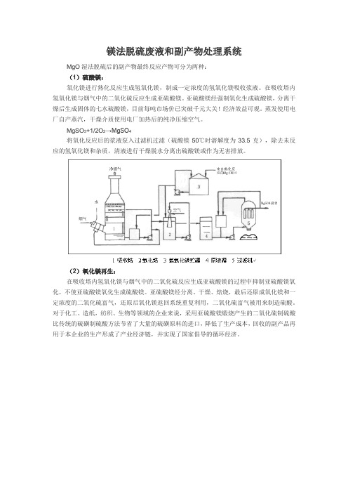 镁法脱硫废液和副产物处理系统