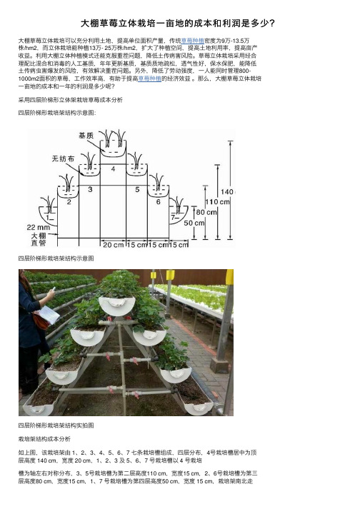 大棚草莓立体栽培一亩地的成本和利润是多少？