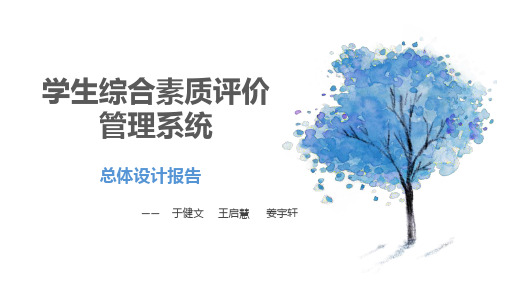学生综合素质评价系统