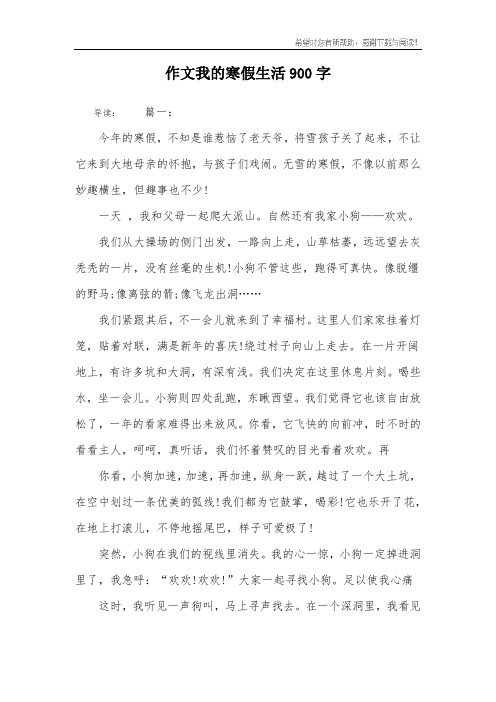 作文我的寒假生活900字