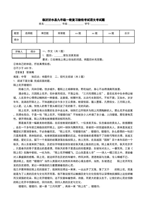 临沂沂水县九年级一轮复习验收考试语文考试题.doc