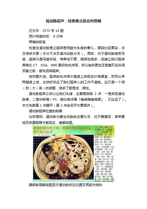 肾动脉超声：检查难点及应对策略