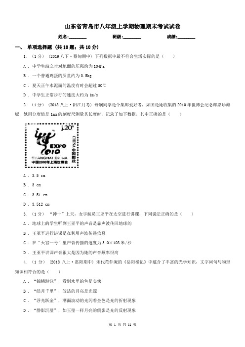 山东省青岛市八年级上学期物理期末考试试卷