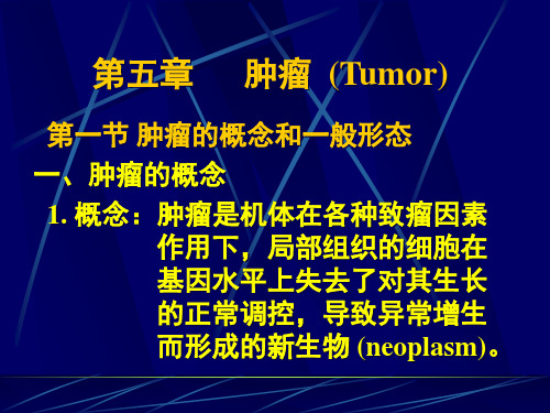 肿瘤 (Tumor)