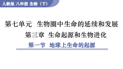 7.3.1  地球上生命的起源  课件 人教版生物八年级下册