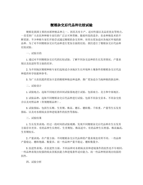 粳稻杂交后代品种比较试验