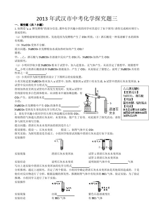 2013年武汉市中考化学探究题三