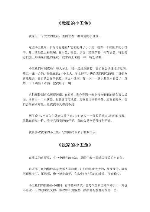 我家的小丑鱼作文650字