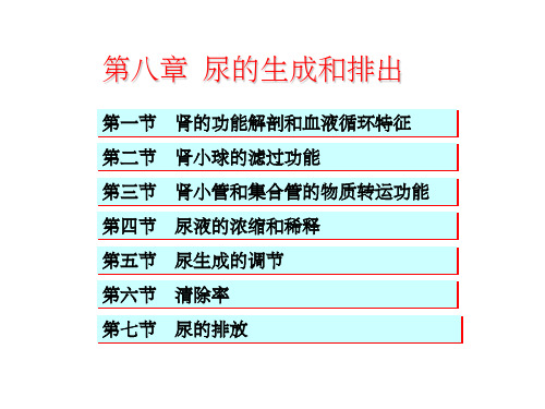 生理学chapt08肾脏的排泄功能