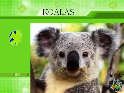 U2koalas