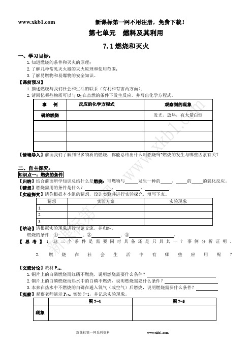 新人教版九年化学第七章导学案