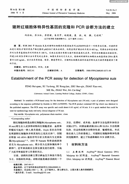 猪附红细胞体特异性基因的克隆和PCR诊断方法的建立