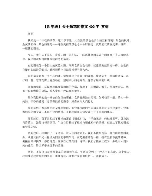 【四年级】关于菊花的作文400字 赏菊