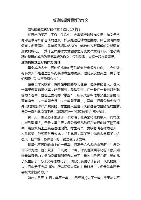 成功的感觉真好的作文(通用13篇)