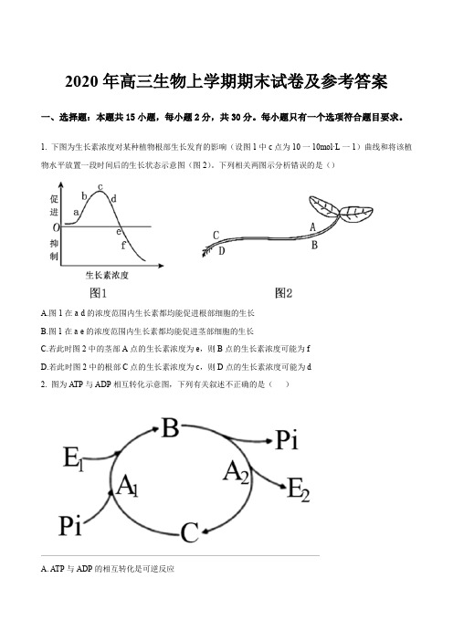 2020年高三生物上学期期末试卷及参考答案