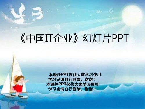 《中国IT企业》幻灯片PPT
