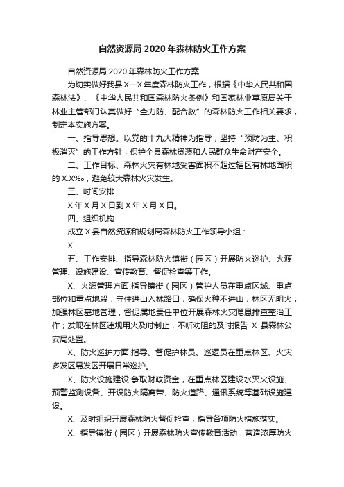 自然资源局2020年森林防火工作方案