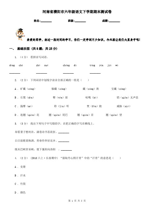 河南省濮阳市六年级语文下学期期末测试卷 