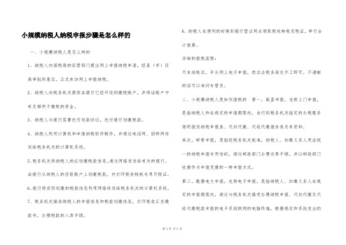 小规模纳税人纳税申报步骤是怎么样的