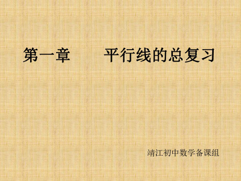 第一章平行线的复习[上学期]--浙教版.
