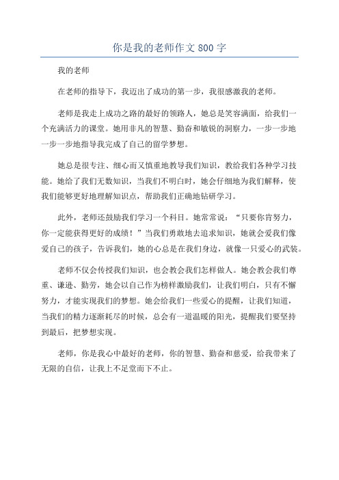 你是我的老师作文800字