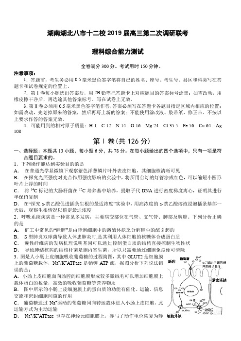 湖南湖北八市十二校(湖南师范大学附属中学、衡阳八中等)2019届高三第二次调研联考理科综合试题(附答案)