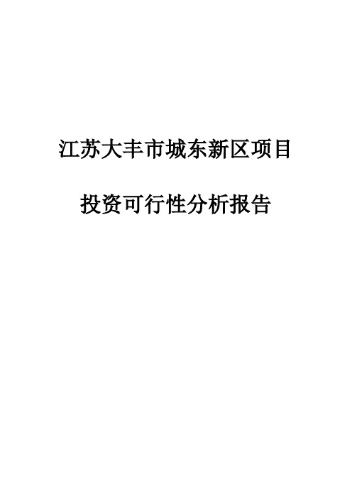 大丰市投资可行性分析报告终稿-2008年