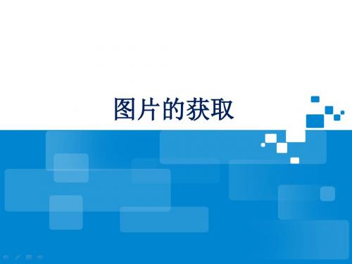 苏教版七年级信息技术上册5.1《图片的获取》教学课件2 (共11张PPT)