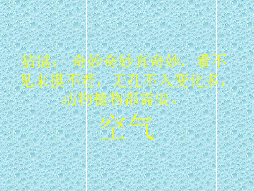 最新苏教小学科学四年级上《1.1.空气的性质》PPT课件(4)