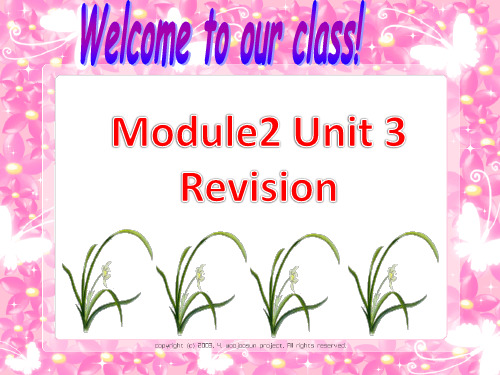 牛津版高一英语 Module 2 Unit 3 学考复习(共30张PPT)