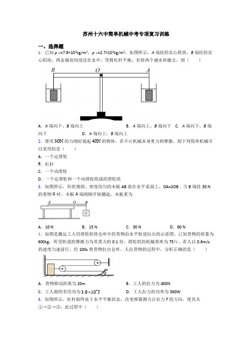 苏州十六中简单机械中考专项复习训练