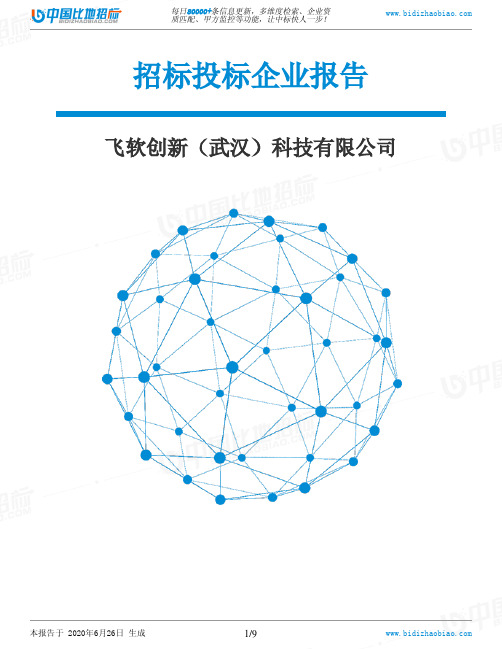 飞软创新(武汉)科技有限公司-招投标数据分析报告