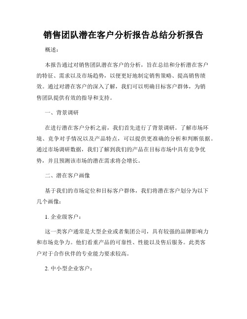 销售团队潜在客户分析报告总结分析报告