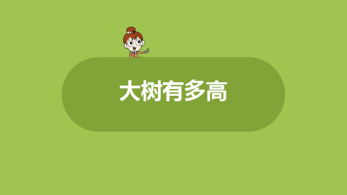 苏教版小学数学 六年级下册 《综合实践：大树有多高》教学课件PPT