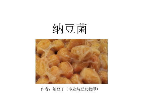 纳豆菌