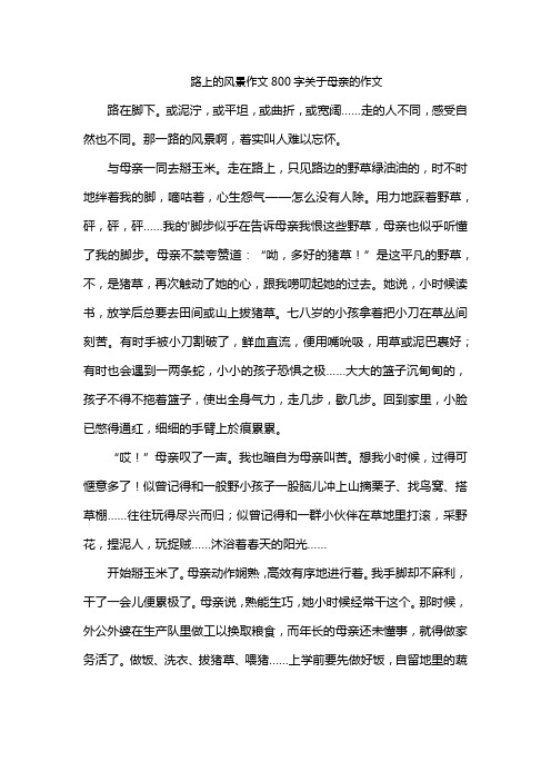 路上的风景作文800字关于母亲的作文