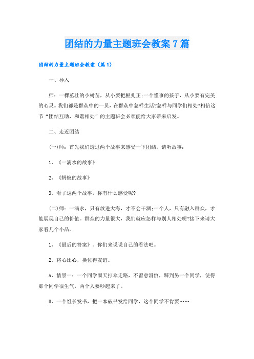 团结的力量主题班会教案7篇