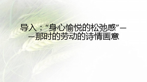 6.1《芣苢》课件(25张PPT) 2024-2025学年统编版高中语文必修上册