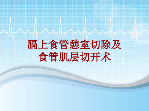 外科手术教学资料：膈上食管憩室切除及食管肌层切开术讲解模板